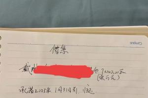 含?量极高..李平康：之前的戴琳震碎三观 辱骂债主不怕遭报应?