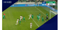 马德兴:评议小组描述不严谨给自己找麻烦,追罚曾用过第三方视频